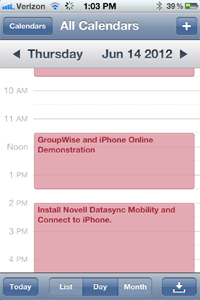 GroupWise Calendar on iPhone