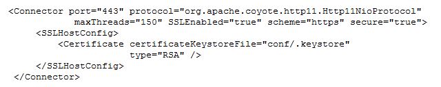 Default Apache Tomcat server.xml file using NIO Directive